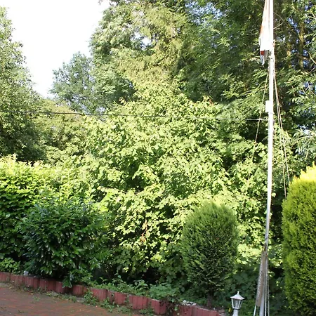 Harling - Waldsamkeit * Bad Iburg